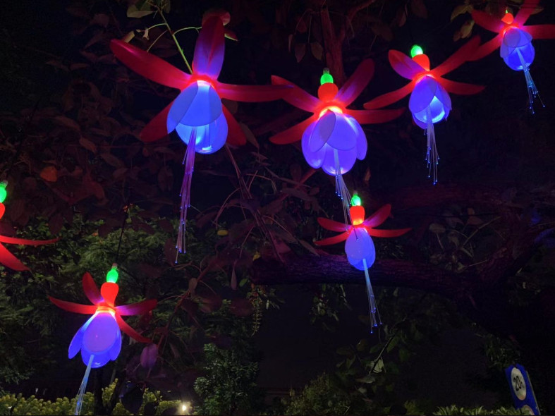 LED灯笼花