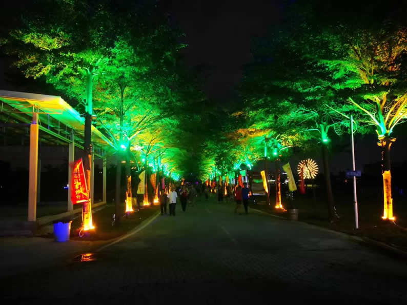 绿色RGBW投光灯效果